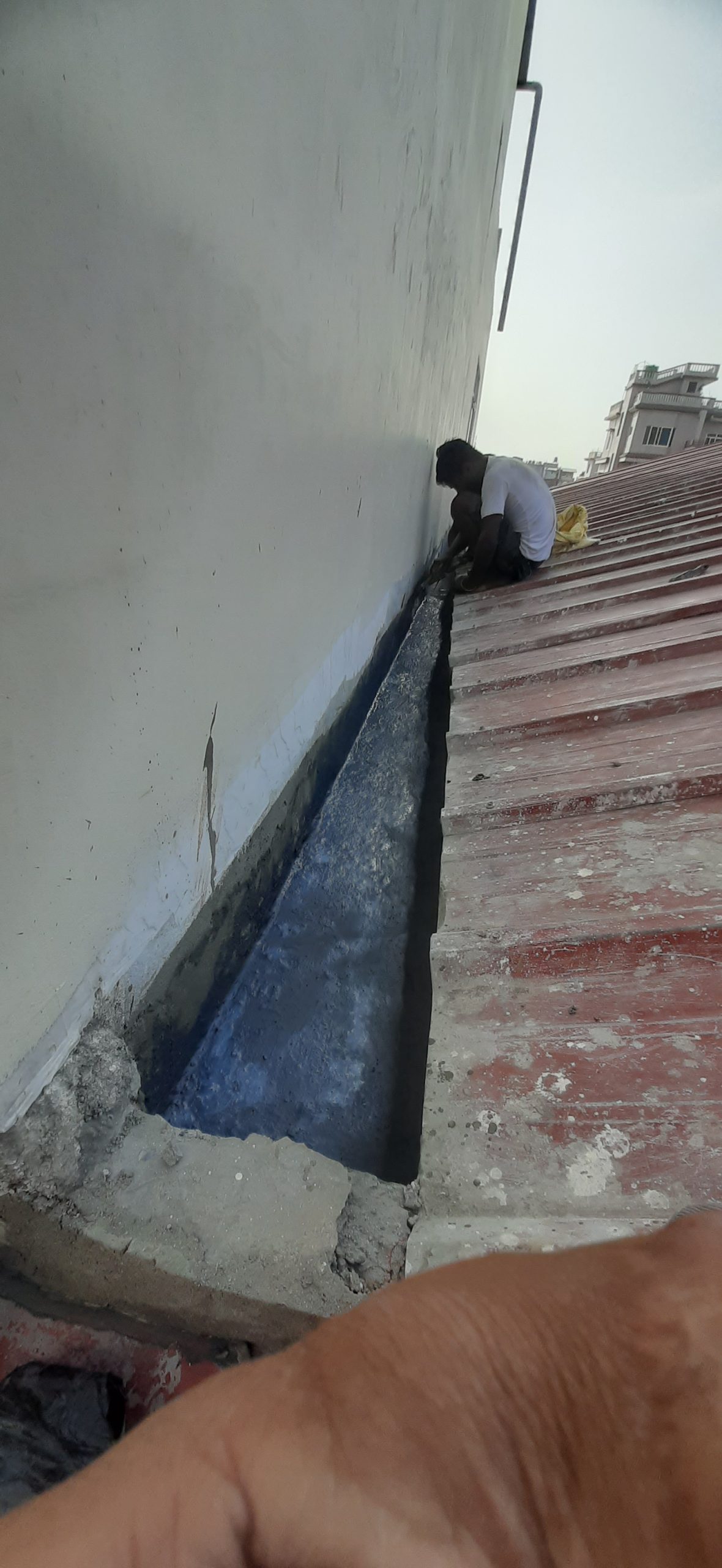 Slide Image